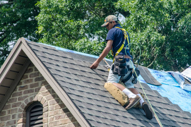 Best Roof Waterproofing Services  in Lake Winnebago, MO